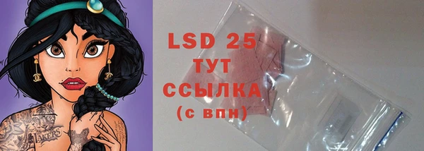 PSILOCYBIN Новодвинск