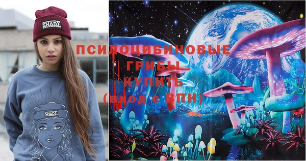 спиды Абаза