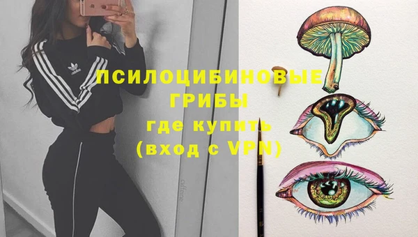 СК Абинск