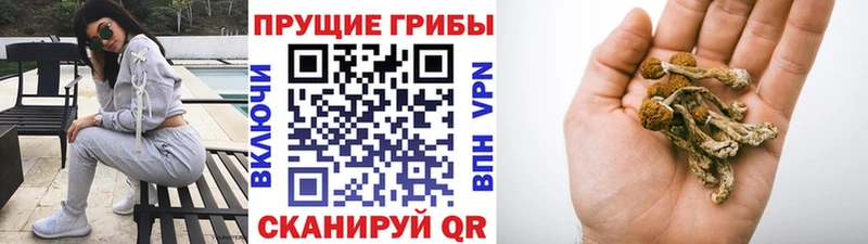 гидра вход  Топки  Галлюциногенные грибы ЛСД  купить  сайты 